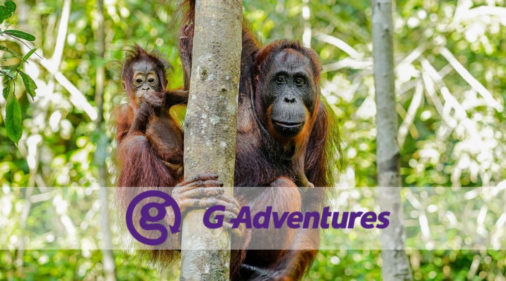 Borneo – East Sabah Adventure
